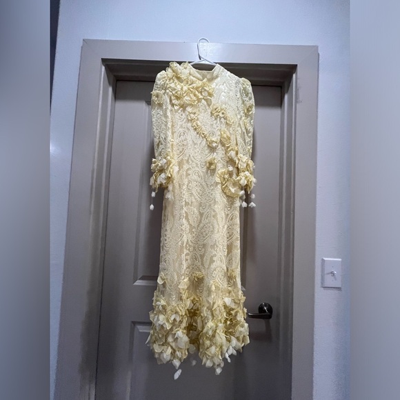 Zimmermann High Tide appliquéd lace midi dress - Picture 6 of 12